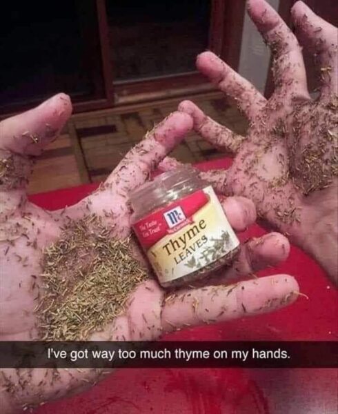 Thyme to Spare: When You&#8217;ve Got Too Much &#8220;Thyme&#8221; on Your Hands