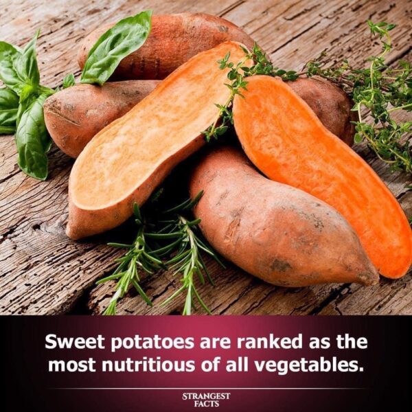 Why Sweet Potatoes Top the List of Nutrient-Rich Vegetables