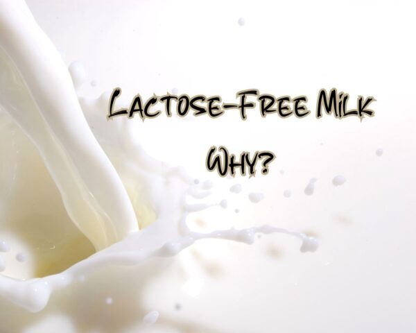 Lactose-Free Milk, Why?